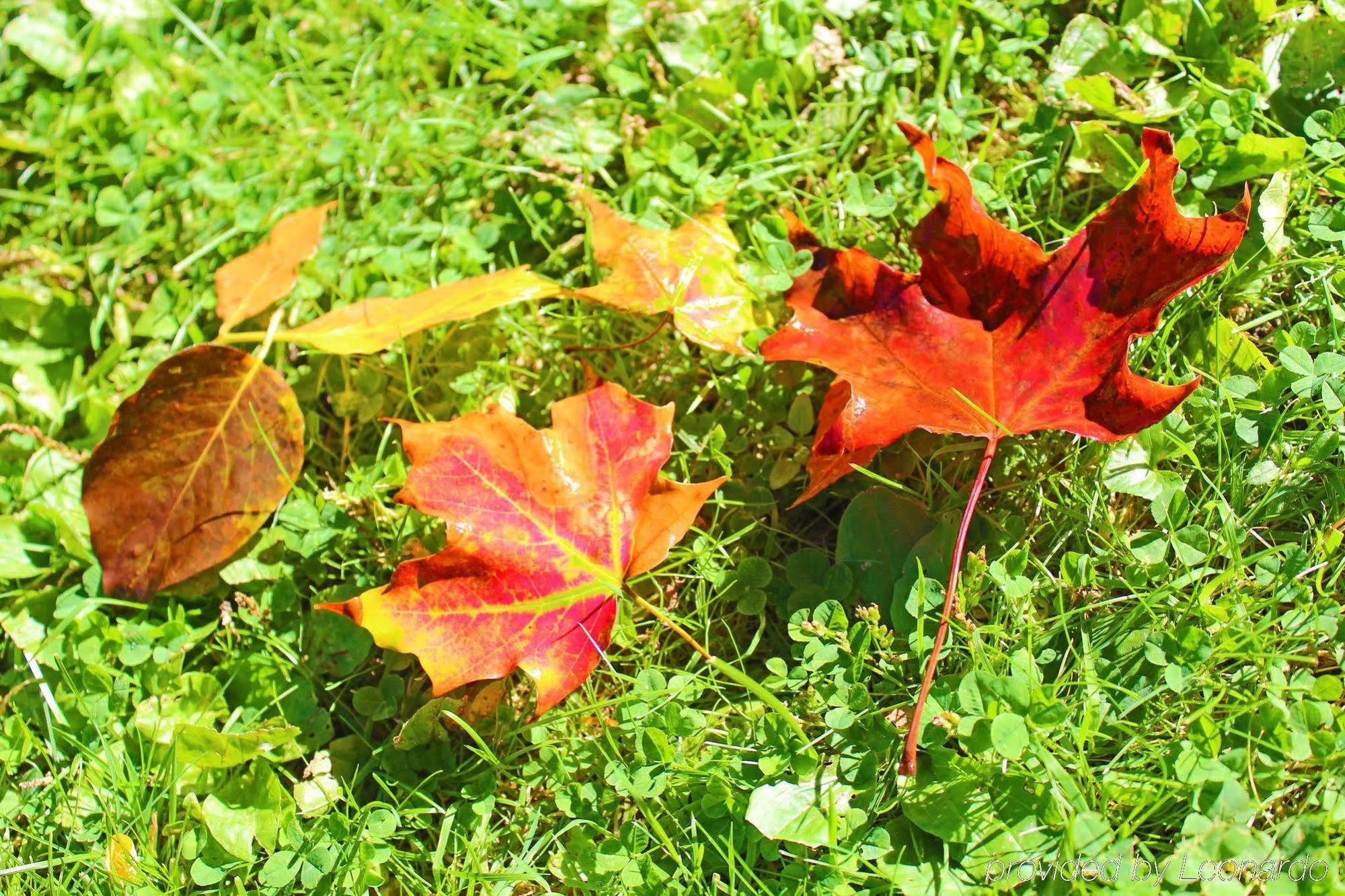 Heart Of The Village Bed & Breakfast In Shelburne Vt Buitenkant foto